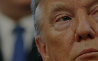 How Trump’s election is impacting investment.